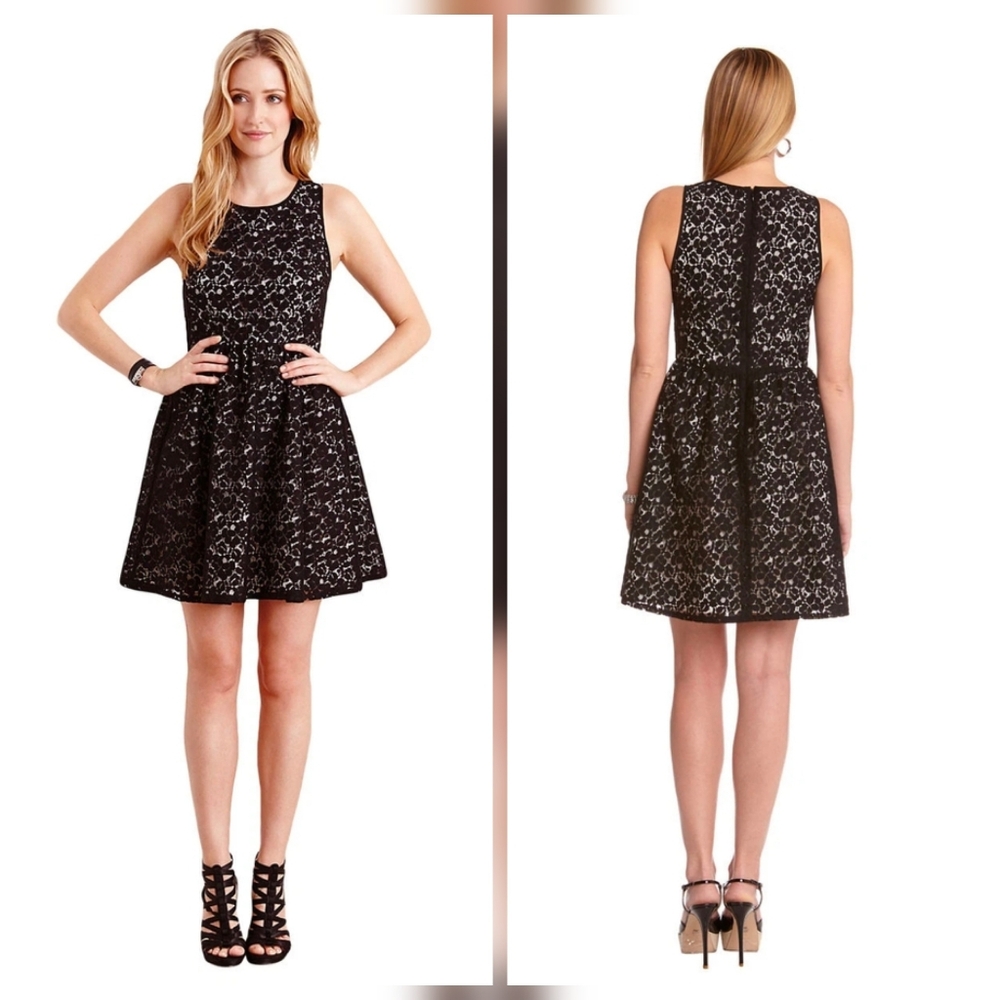 Sophisticated Navy Lace Dress